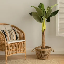 Kenay Home Bananeira