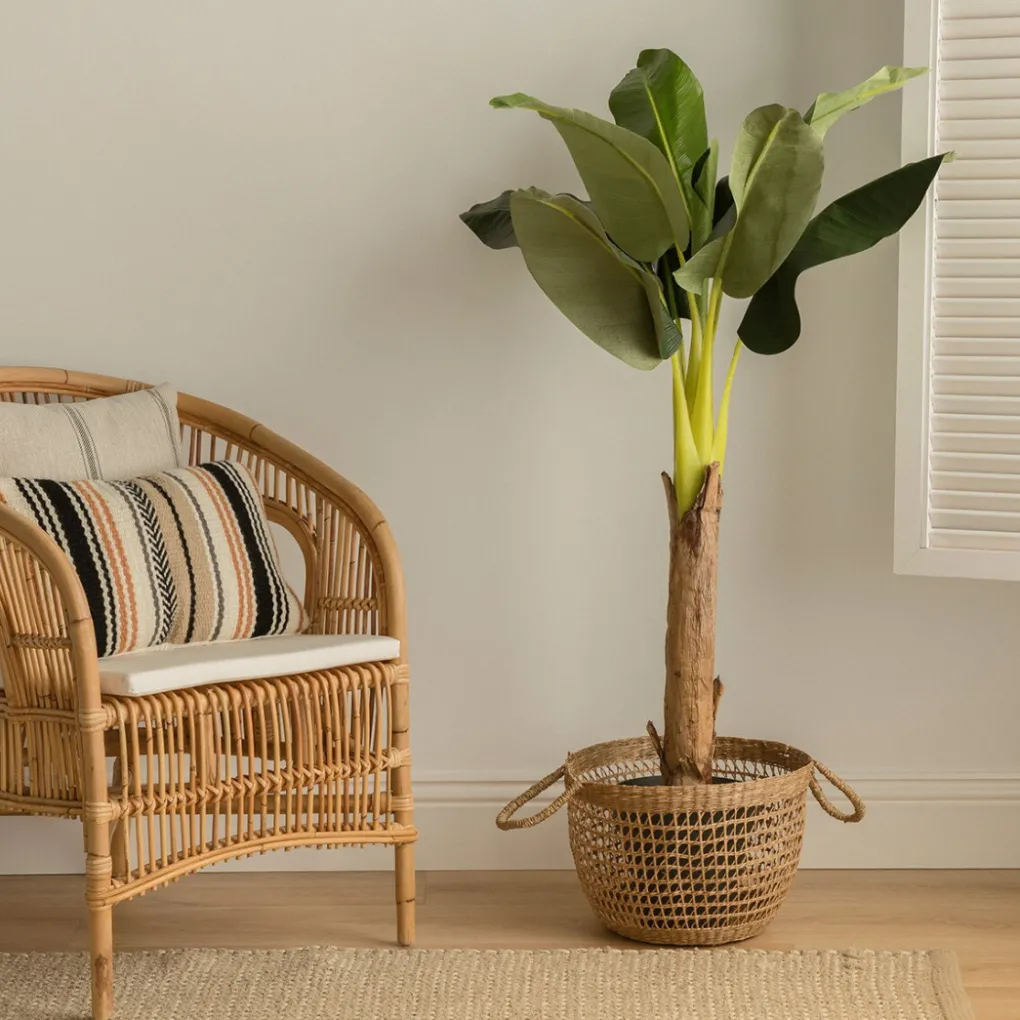 Kenay Home Bananeira