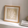 Kenay Home Coral