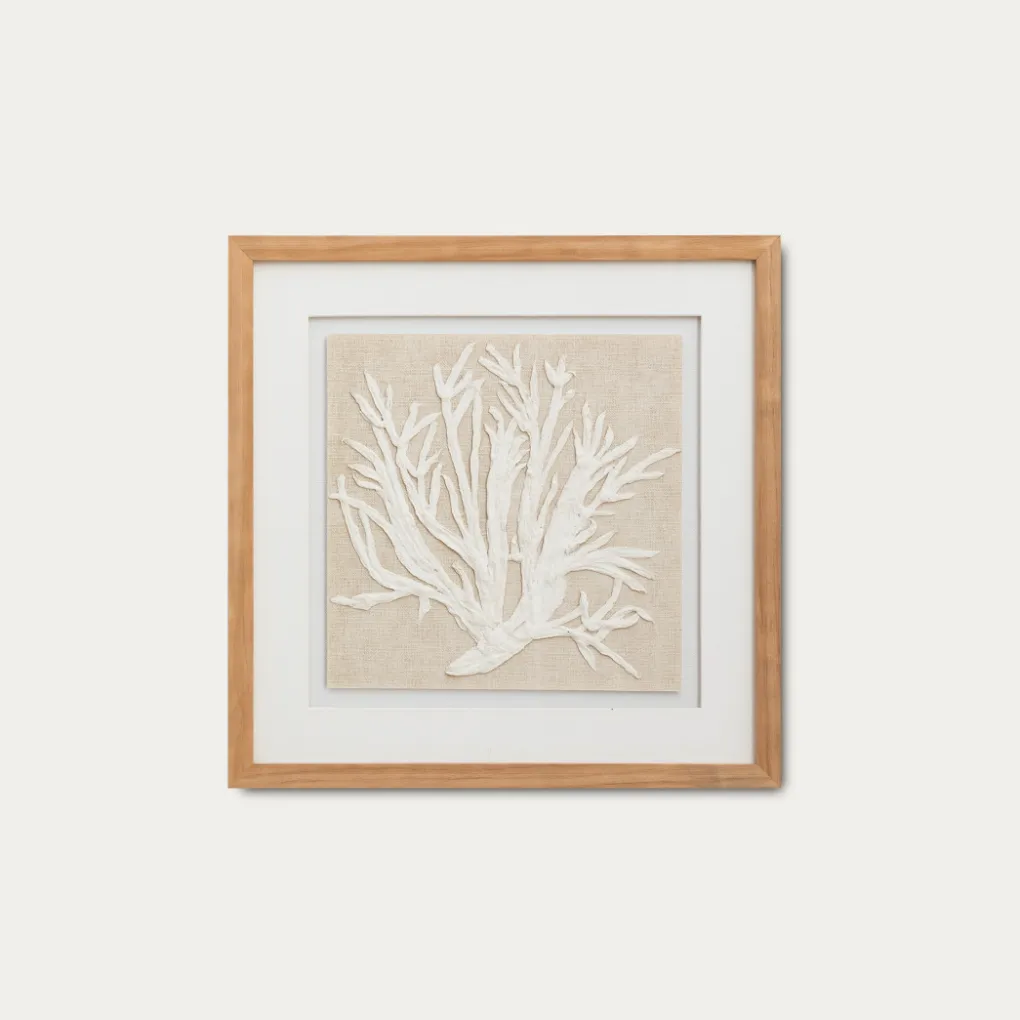Kenay Home Coral