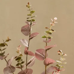 Kenay Home Eucalyptus