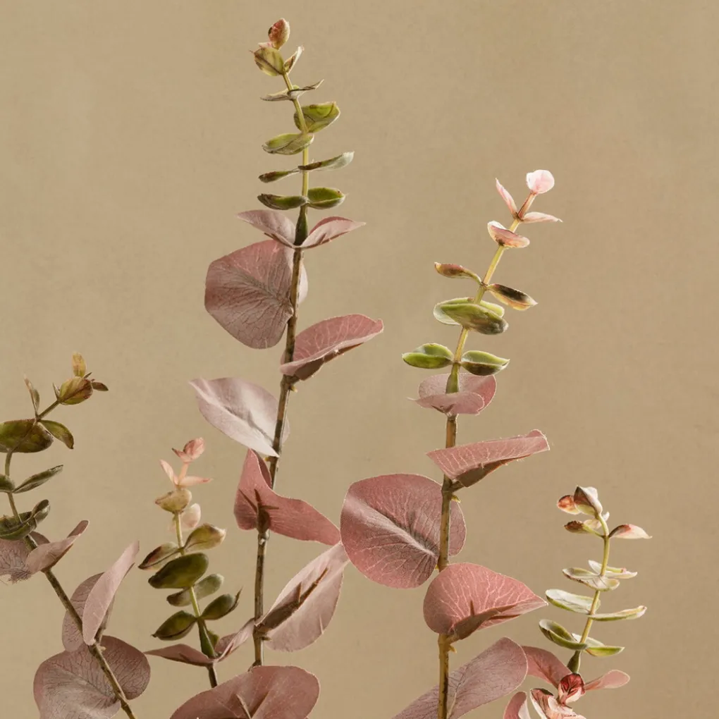 Kenay Home Eucalyptus