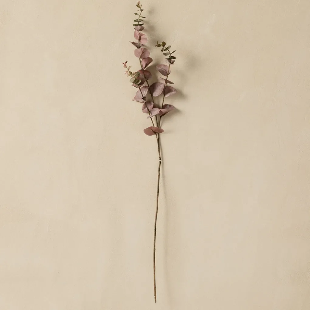 Kenay Home Eucalyptus
