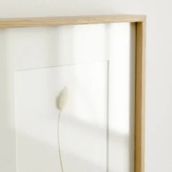 Kenay Home Iagurus
