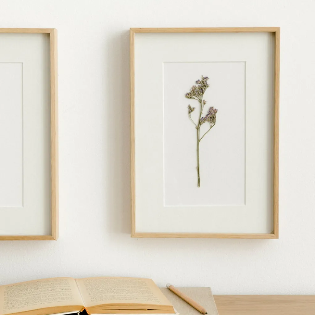 Kenay Home Limonium