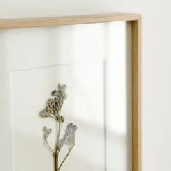 Kenay Home Limonium