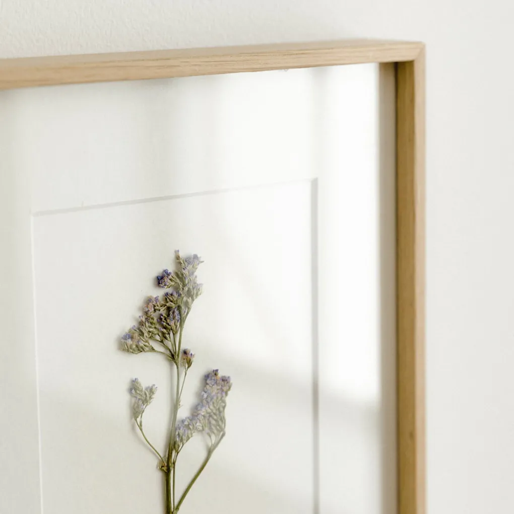 Kenay Home Limonium