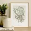 Kenay Home Monstera