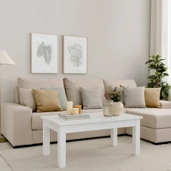 Kenay Home Monstera