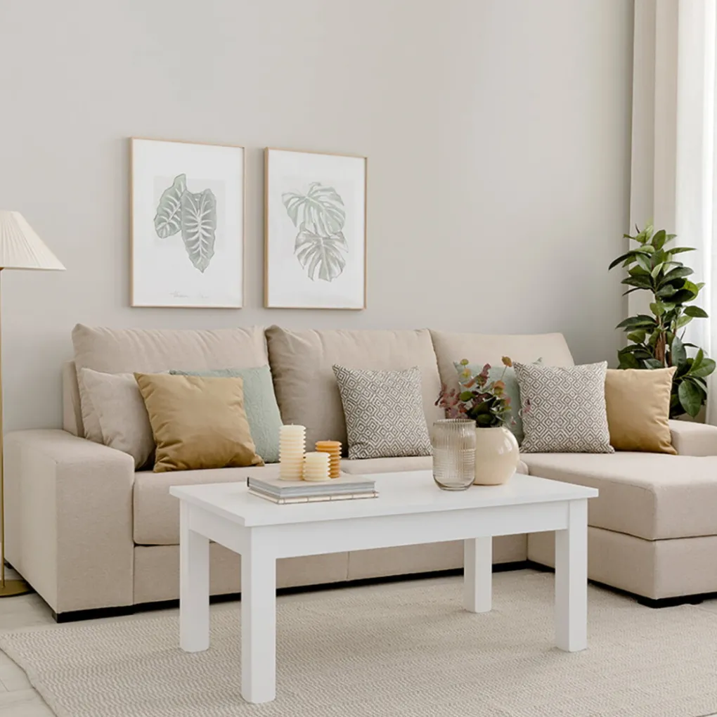 Kenay Home Monstera