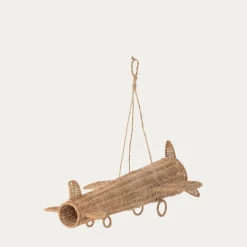 Kenay Home Plane
