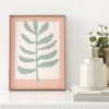 Kenay Home Zamioculca
