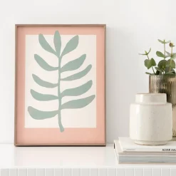 Kenay Home Zamioculca